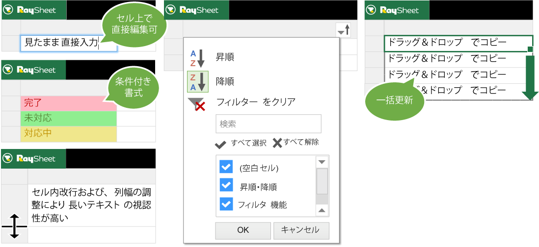 RaySheetはSalesforceのデータをExcelライクに入力／編集できる機能を提供